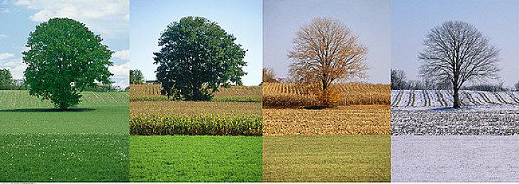 《宝可梦GO》厂商驳斥收入下降传闻 称数字不准确